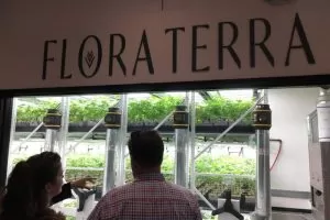 Microbusiness Article