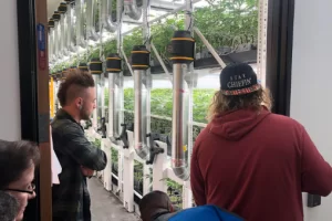 Destination Dispensary